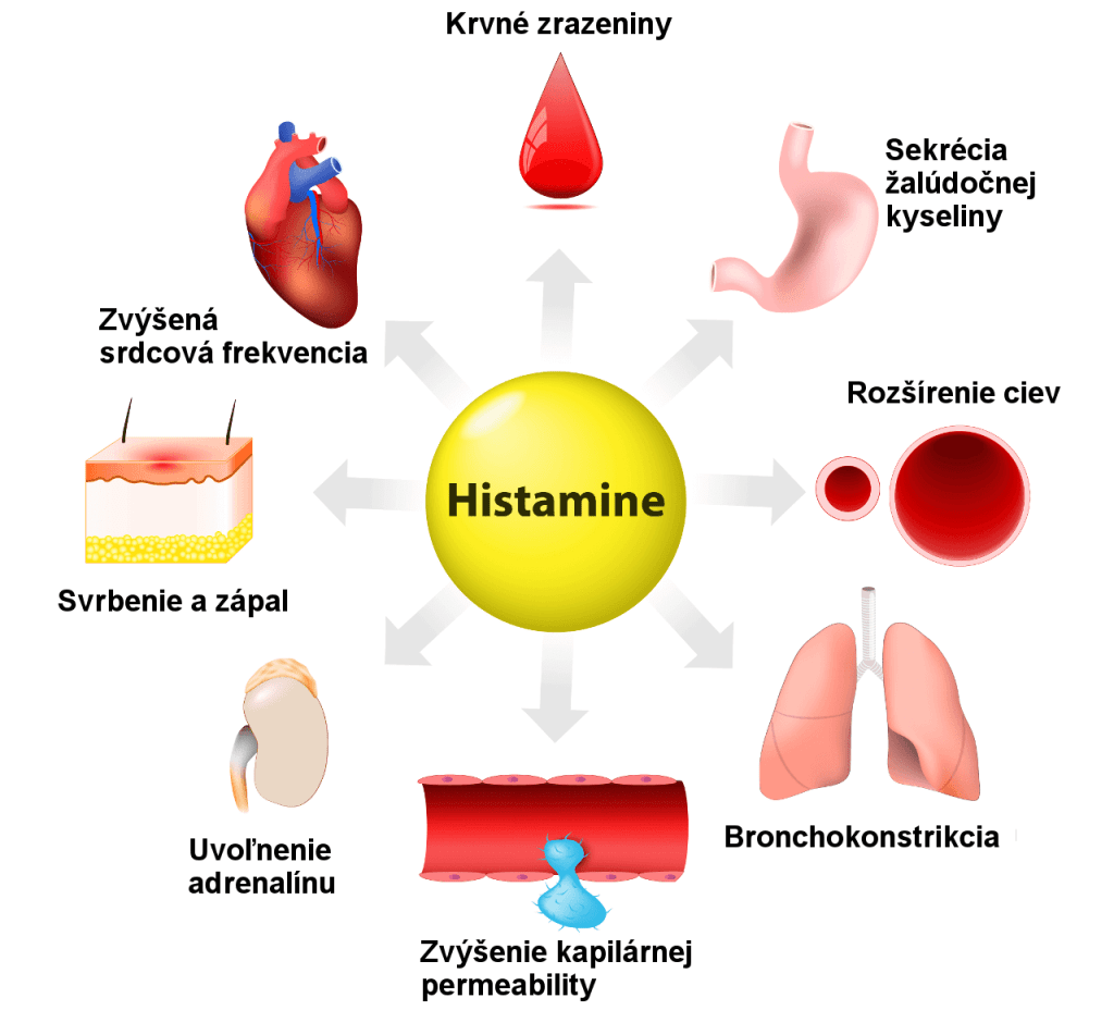 Antihistaminiká pôsobia na histamín, ktorý má účinky ako zvýšená srdcová frekvencia, svrbenie a zápal, uvoľnenie adrenalínu, sekrécia HCl a iné