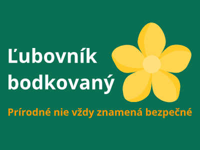 Ľubovník bodkovaný - prírodné nie vždy znamená bezpečné Ľubovník bodkovaný - prírodné nie vždy znamená bezpečné
