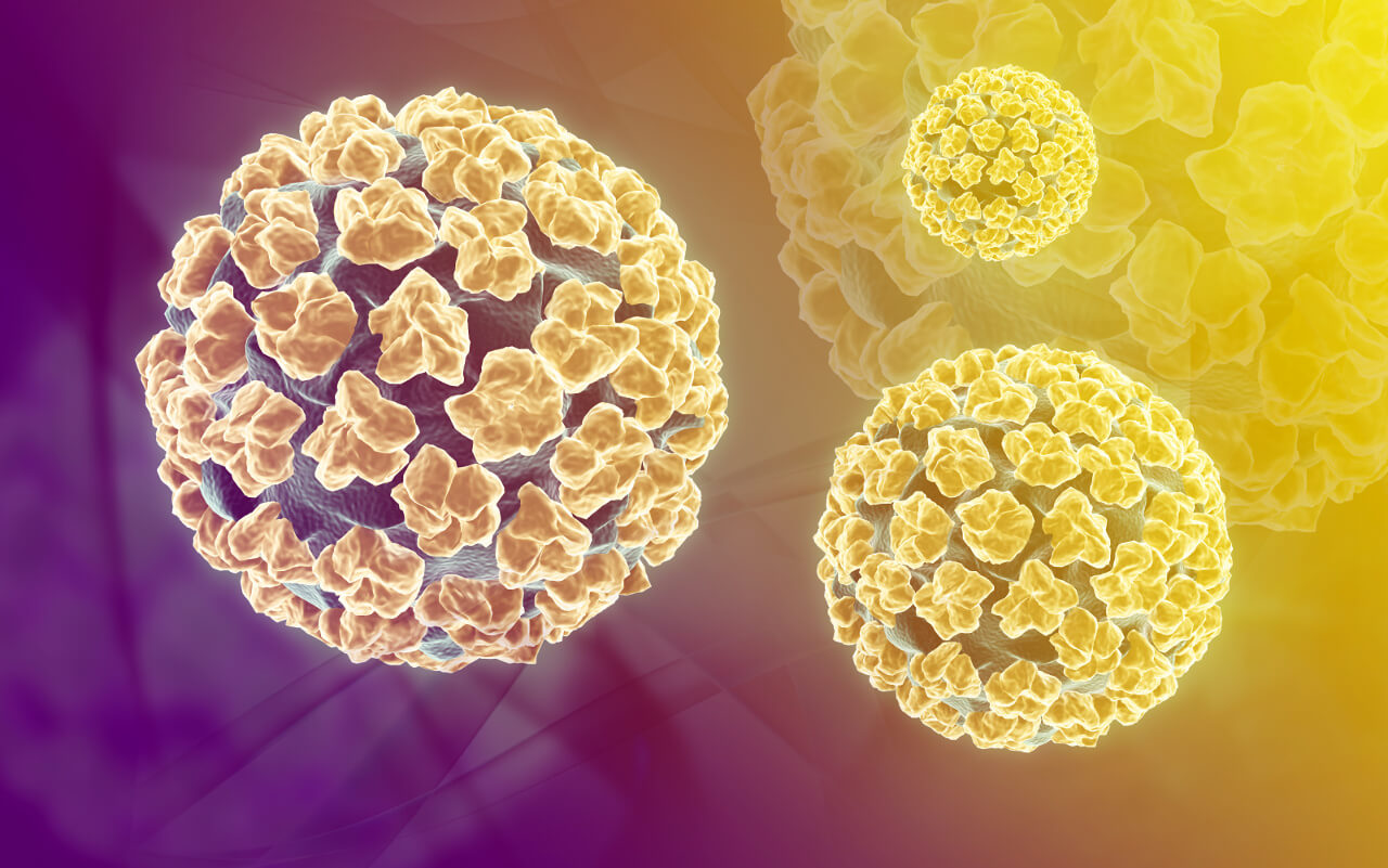 HPV - Human papillóma vírus, Papillomavírus lecba