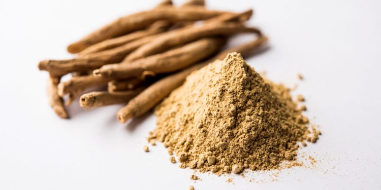 Ashwagandha/ ašvaganda - koreň a prášok (Withania somnifera)
