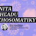 Psychosomatika, Imunita z pohľadu Psychosomatiky - prednáška